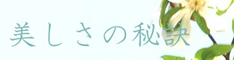 IPSコスメティックスの化粧品の使い方